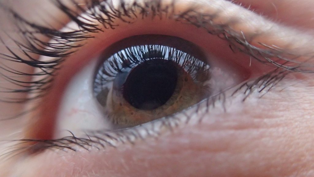 Revisar la vista a menudo evita la ceguera por glaucoma