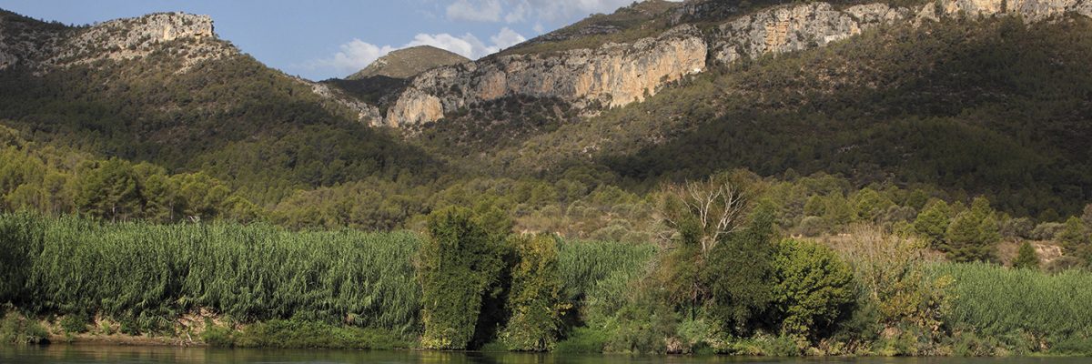 Ribera del río Ebro.- MANUEL COHEN/AFP