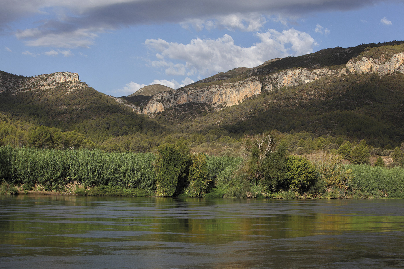 Ribera del río Ebro.- MANUEL COHEN/AFP