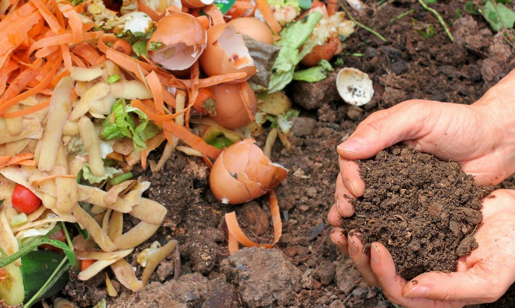 Los restos de comida se usan para elaborar fertilizante orgánico.
