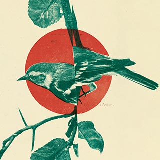 Ilustración para el artículo ' Luz Pichel. El pájaro mudo que se convirtió en poeta desobediente' del especial: Foto: Santiago Bará